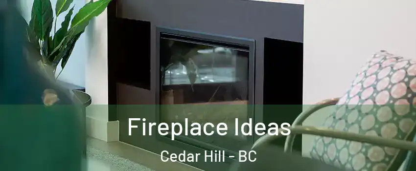 Fireplace Ideas Cedar Hill - BC