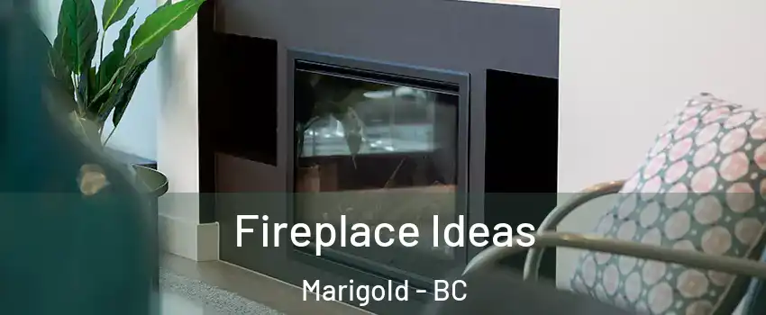  Fireplace Ideas Marigold - BC