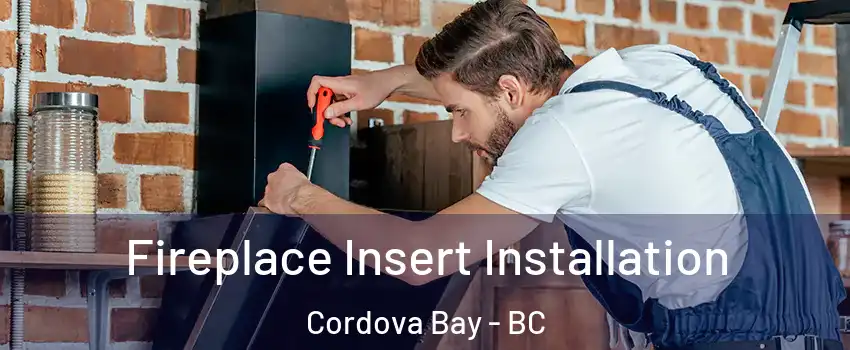 Fireplace Insert Installation Cordova Bay - BC