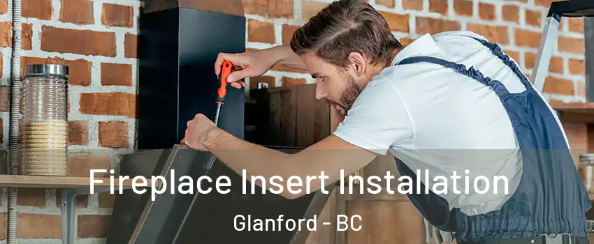  Fireplace Insert Installation Glanford - BC