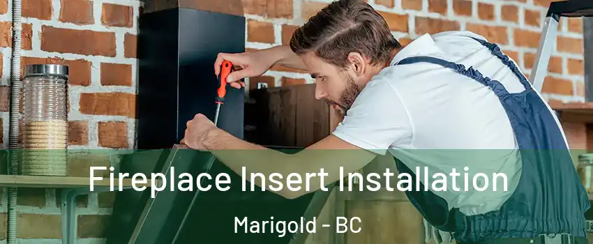 Fireplace Insert Installation Marigold - BC