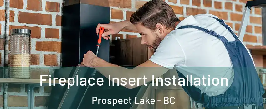  Fireplace Insert Installation Prospect Lake - BC