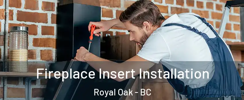 Fireplace Insert Installation Royal Oak - BC
