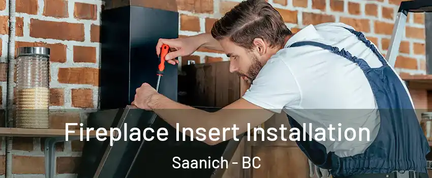  Fireplace Insert Installation Saanich - BC
