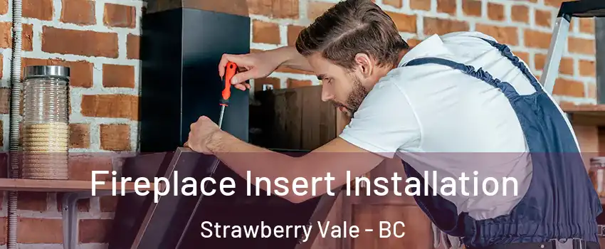 Fireplace Insert Installation Strawberry Vale - BC