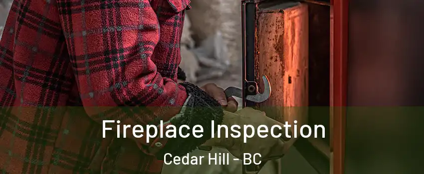  Fireplace Inspection Cedar Hill - BC