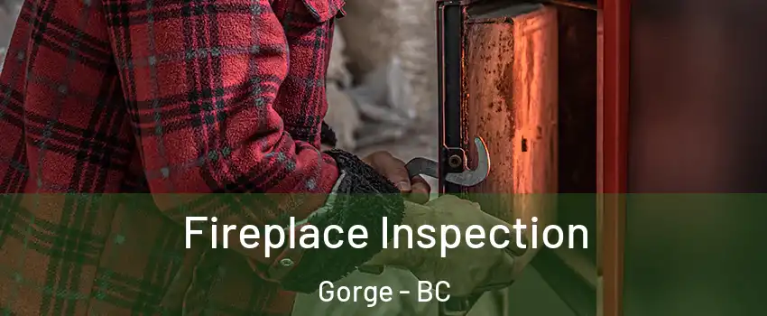  Fireplace Inspection Gorge - BC