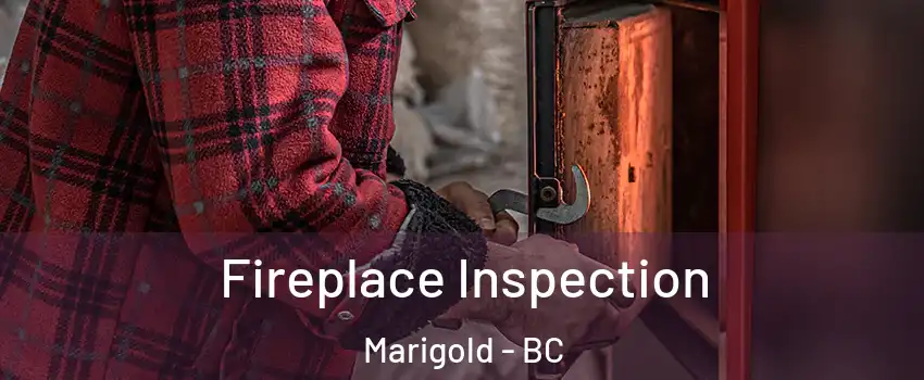  Fireplace Inspection Marigold - BC