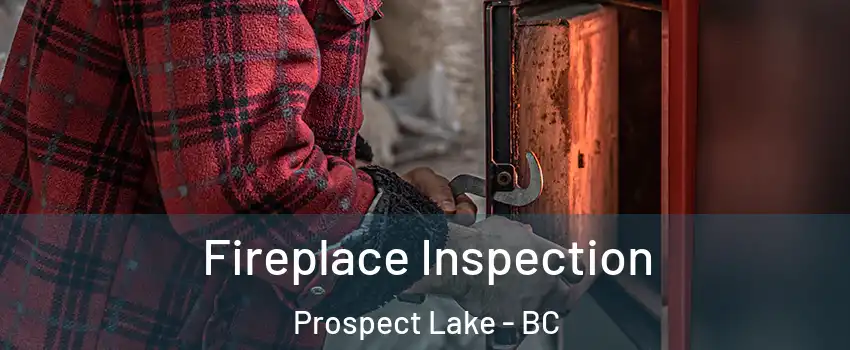  Fireplace Inspection Prospect Lake - BC
