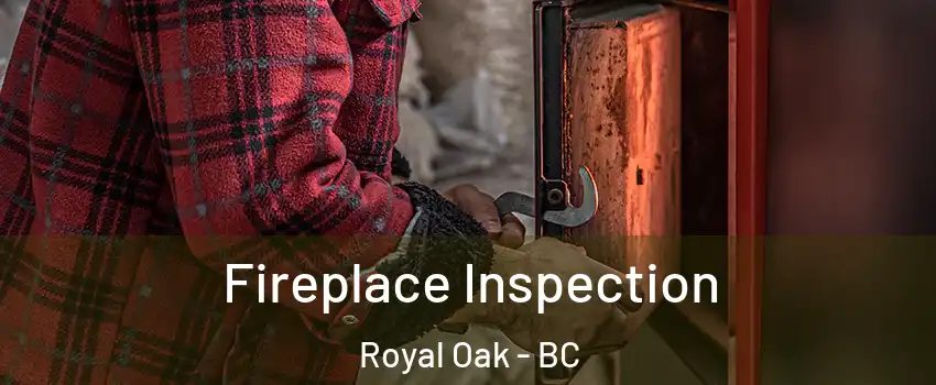  Fireplace Inspection Royal Oak - BC