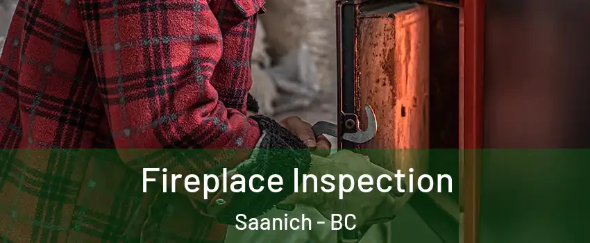  Fireplace Inspection Saanich - BC