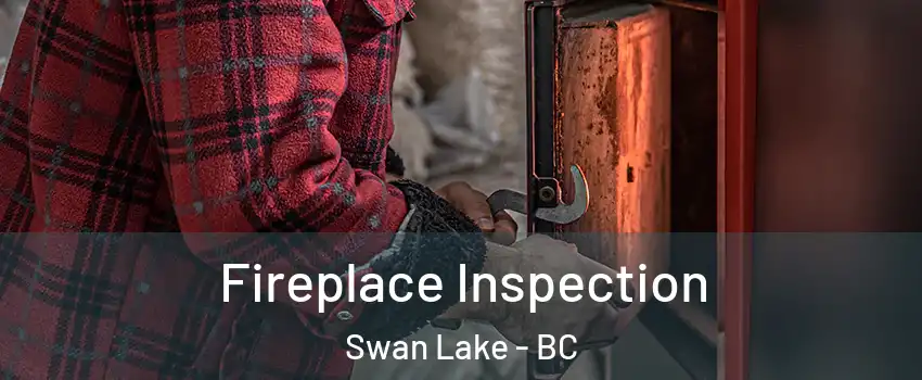  Fireplace Inspection Swan Lake - BC