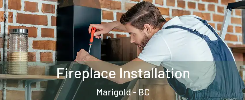  Fireplace Installation Marigold - BC