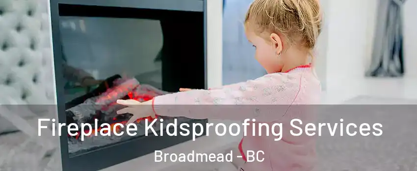  Fireplace Kidsproofing Services Broadmead - BC