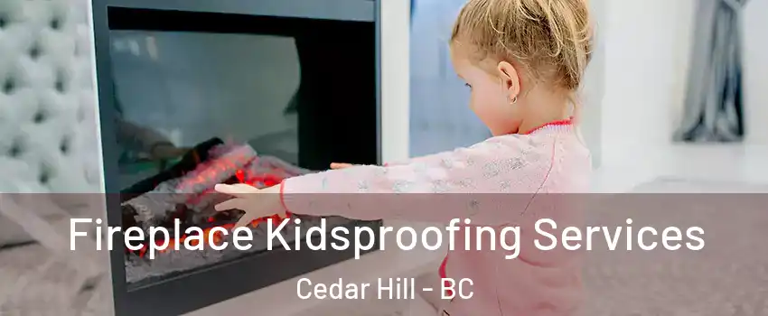  Fireplace Kidsproofing Services Cedar Hill - BC