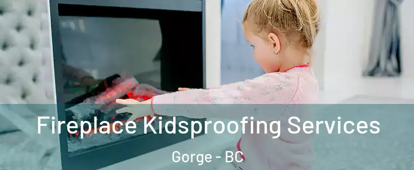  Fireplace Kidsproofing Services Gorge - BC