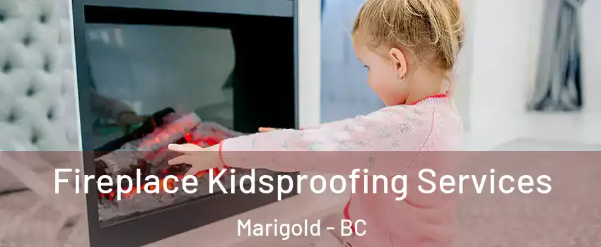  Fireplace Kidsproofing Services Marigold - BC