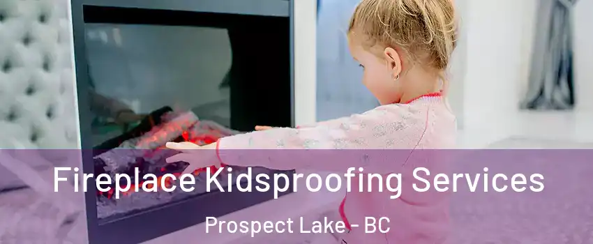 Fireplace Kidsproofing Services Prospect Lake - BC
