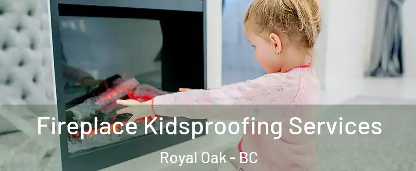  Fireplace Kidsproofing Services Royal Oak - BC