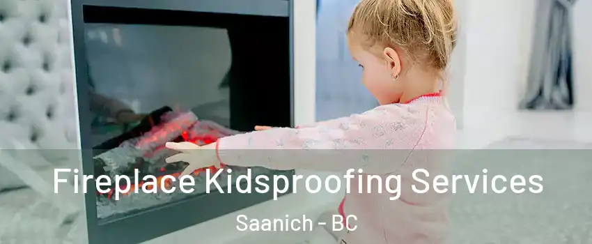 Fireplace Kidsproofing Services Saanich - BC