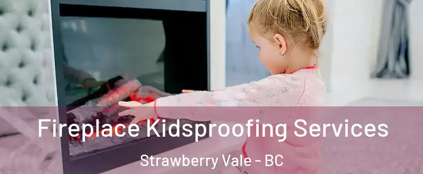  Fireplace Kidsproofing Services Strawberry Vale - BC