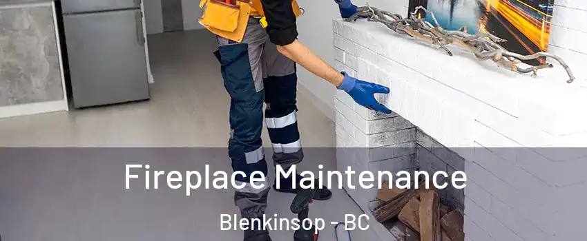  Fireplace Maintenance Blenkinsop - BC