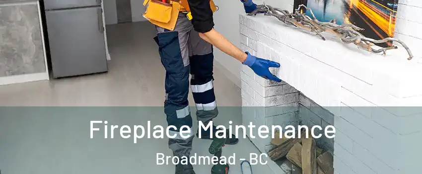  Fireplace Maintenance Broadmead - BC