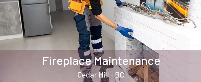  Fireplace Maintenance Cedar Hill - BC