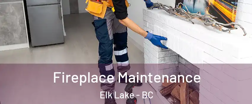  Fireplace Maintenance Elk Lake - BC
