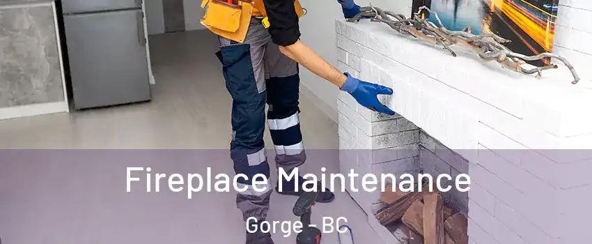  Fireplace Maintenance Gorge - BC
