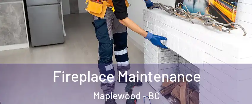  Fireplace Maintenance Maplewood - BC