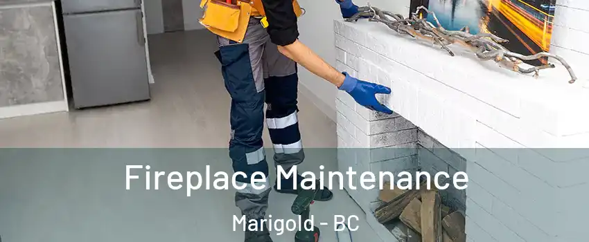  Fireplace Maintenance Marigold - BC