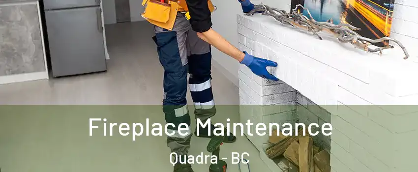  Fireplace Maintenance Quadra - BC