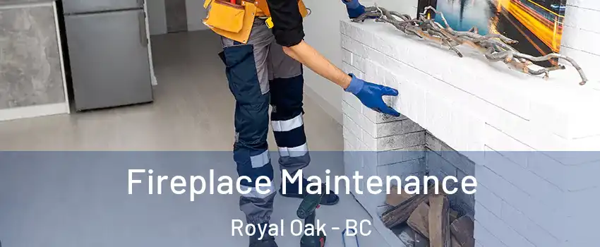  Fireplace Maintenance Royal Oak - BC