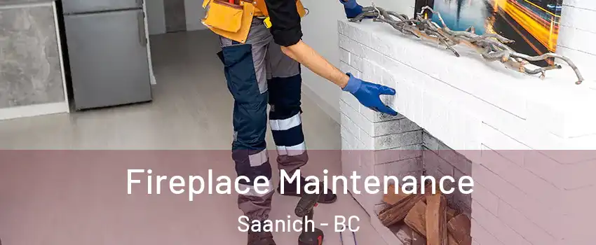 Fireplace Maintenance Saanich - BC
