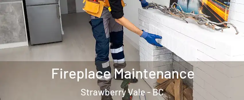 Fireplace Maintenance Strawberry Vale - BC