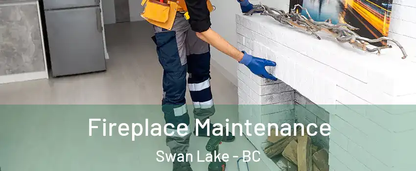  Fireplace Maintenance Swan Lake - BC