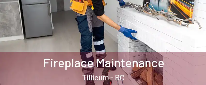  Fireplace Maintenance Tillicum - BC