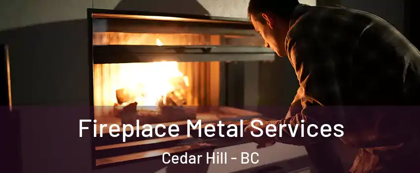  Fireplace Metal Services Cedar Hill - BC