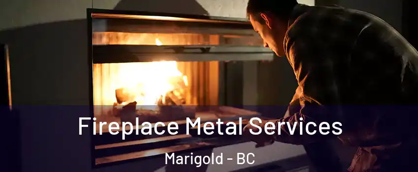  Fireplace Metal Services Marigold - BC