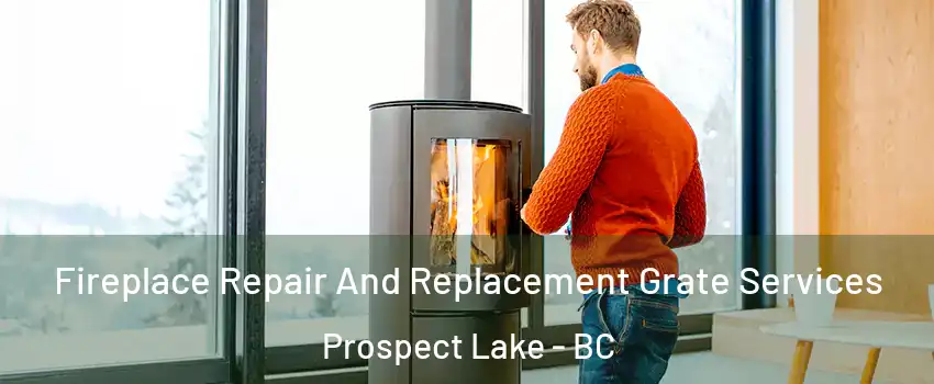  Fireplace Repair And Replacement Grate Services Prospect Lake - BC