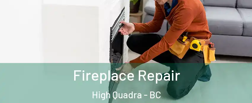  Fireplace Repair High Quadra - BC