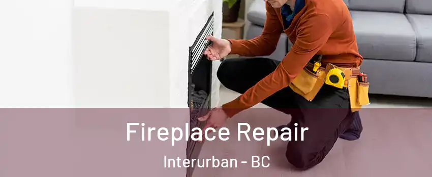 Fireplace Repair Interurban - BC