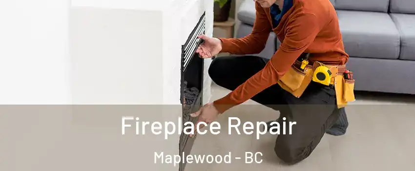  Fireplace Repair Maplewood - BC