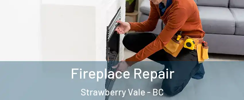  Fireplace Repair Strawberry Vale - BC