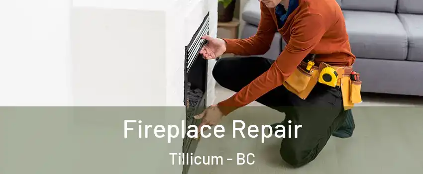  Fireplace Repair Tillicum - BC