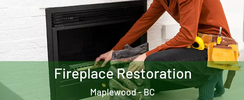  Fireplace Restoration Maplewood - BC