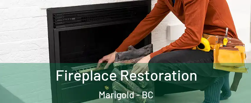  Fireplace Restoration Marigold - BC