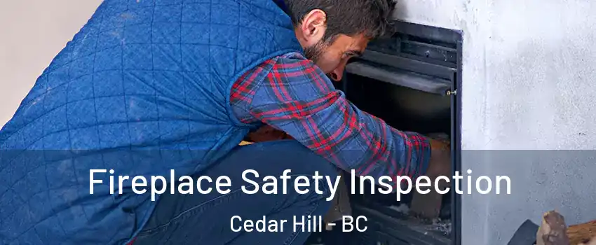  Fireplace Safety Inspection Cedar Hill - BC