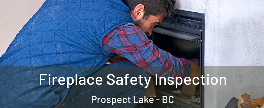  Fireplace Safety Inspection Prospect Lake - BC